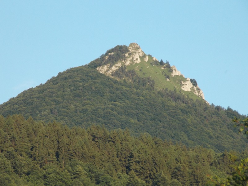 DSCN2392