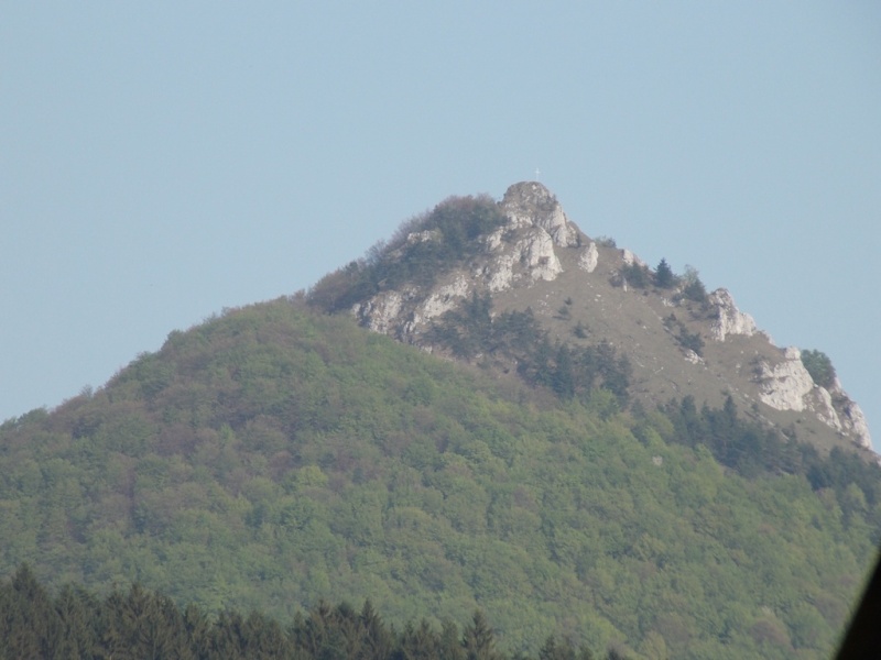 DSCN1378