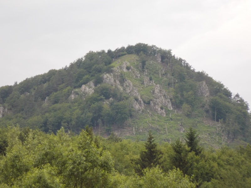 DSCN2314